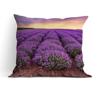 Dynasit Deko Levander 38x38