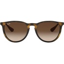 Image 1 of Ray-Ban Erika RB4171 865/13