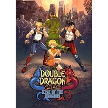 Double Dragon Gaiden: Rise of the Dragons