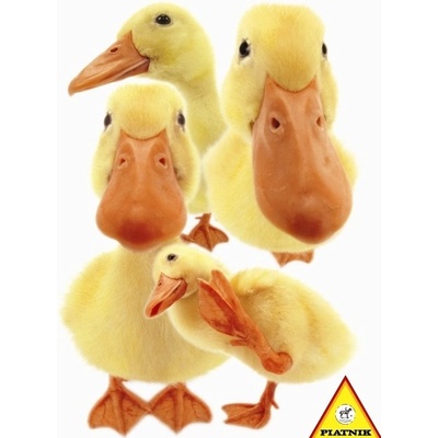 Piatnik Kachňátka HANADEKA 100 dielov