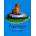 Capyboppy Peet BillPaperback
