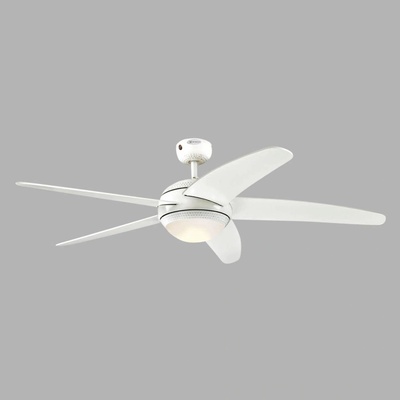 Westinghouse 7207040