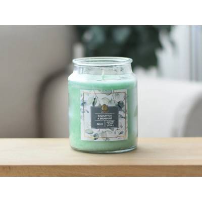 Arôme EUCALYPTUS & SPEARMINT 560G