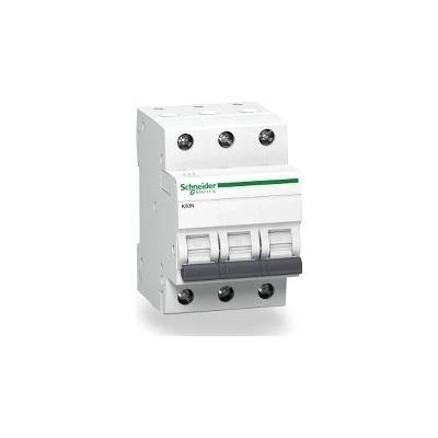 Schneider Electric 6A B-A9K01306