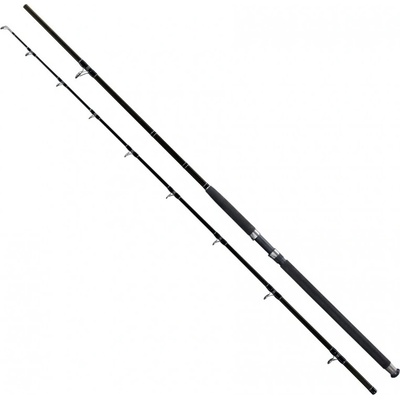 Giants FISHING Deluxe Catfish 2,4 m 400 g 2 díly