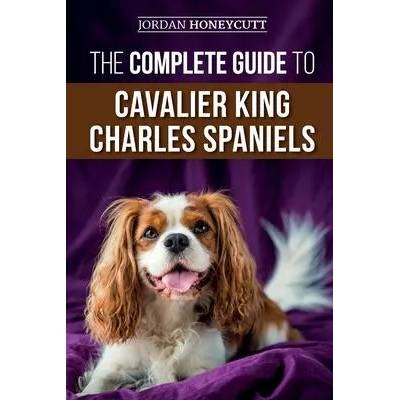 Complete Guide to Cavalier King Charles Spaniels | Jordan Honeycutt