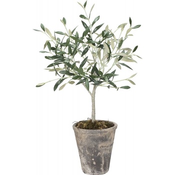 Malý olivový stromek v květináči FLORA, zelený