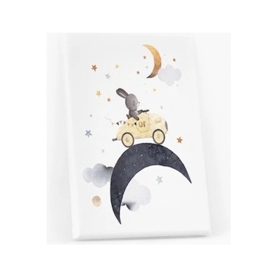 Obrazy, Night: Bunny II, 20x30 cm - 76784