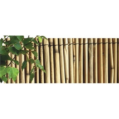 Rohož rákos - 1x5m