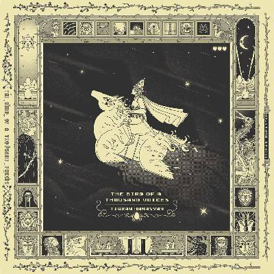 Tigran Hamasyan - The Bird Of A Thousand Voices (2 LP) (3700187684907)