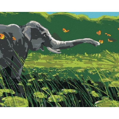 Zuty Malování Podle Čísel Slon A Motýli 80 x 100 cm Plátno Rám