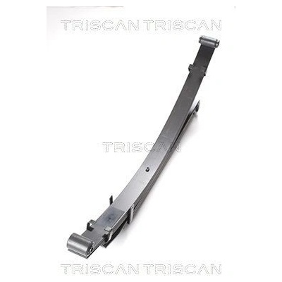 Sada pružin TRISCAN 8765 42006