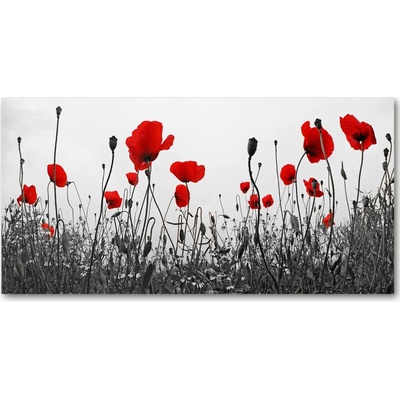 Fotoobraz na skle maky 100x50 cm