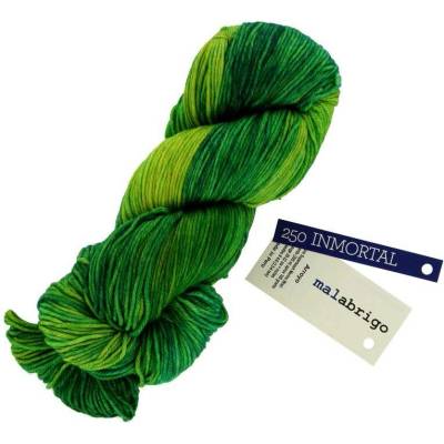 Malabrigo Arroyo Immortal 250 zelená