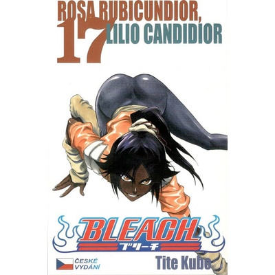 Bleach 17: Rosa Rubicundior, Lilio CZ [Tite Kubo]