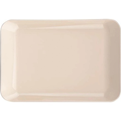 Petra plast PODNOS MALÝ 19 X 13 X 1,5CM PLAST