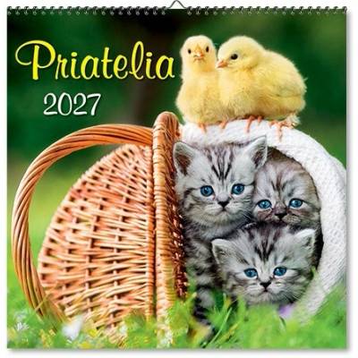 Nástenný Priatelia 2027