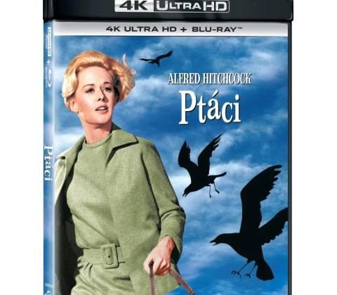 Ptáci BD
