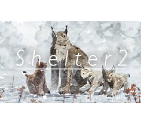 Shelter 2
