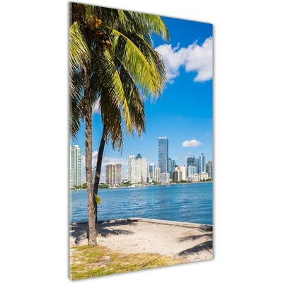Vertikálny foto obraz fotografie na skle Miami 50x100 cm