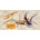 (C) 3D panoráma Pteranodon