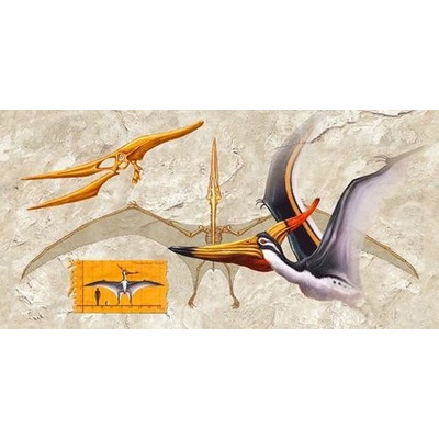 (C) 3D panoráma Pteranodon
