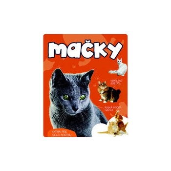 Mačky