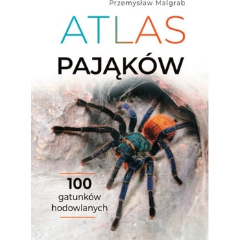 Atlas pająków