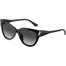 Jimmy Choo JC5018U 50008G