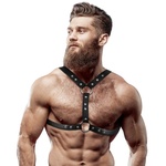  Харнес колан за гърди, универсален размер - Chest Harness Double Fastening (D-235869)