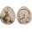DECORIS ЧИНИЯ ДЕКОРАТИВНА 891561 35x29x1.5см ЗАЕК (891561)