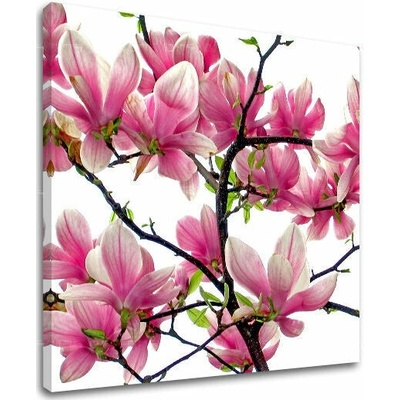 Obraz na stenu KVETY - 90x90