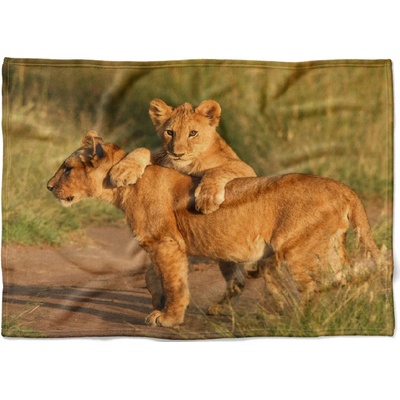 Impar fleece deka Lvíčata Podšití beránkem NE 150x120