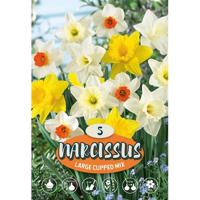 Velkokvětý narcis ""Mix""