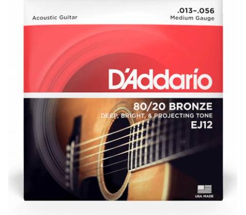 DAddario EJ12