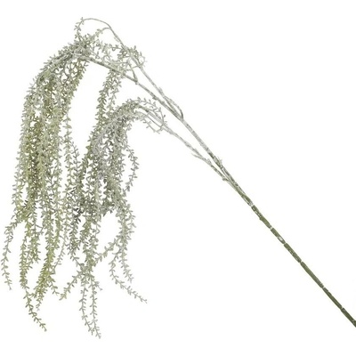 KONÁR DRôTOVEC SIVO-ZELENÝ 70CM