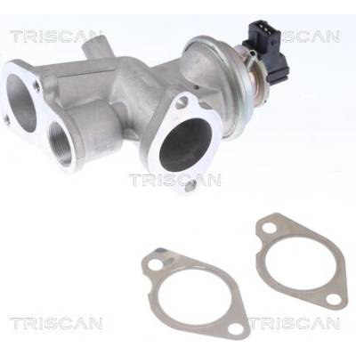 AGR - Ventil TRISCAN 8813 24203