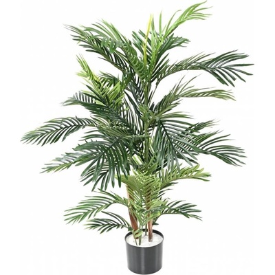 Areca palma 2 kmene, 120cm