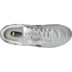 Nike The premier iii fg - 11teamsports - 176,02 лв