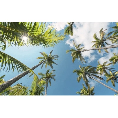 SHX9-107 Fototapeta vliesová Coconut Heaven II rozměry 450x280 cm