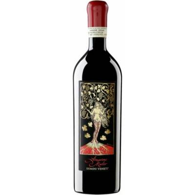 Domini Veneti Amarone della Valpolicella Classico Mater 2017 17% 0,75 l (holá láhev)