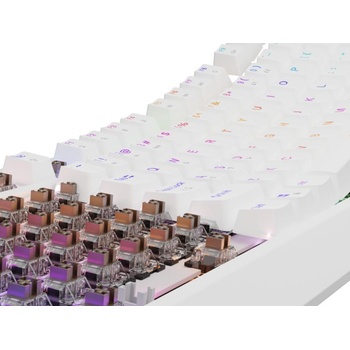 Image 1 of NATEC Thor 230 TKL RGB Outemu Brown (NKG-2080)