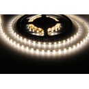 T-LED 073202