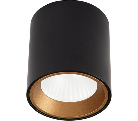 MaxLight C0211
