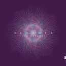 Bloomer - Tom Barford CD