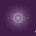 Bloomer - Tom Barford CD