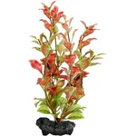 TETRA Ludwigia repens (Red Ludwigia) - растение Tetra 30 см, L