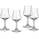 MAISON FORINE Súprava pohárov na rum Sommelier CHEST 4 x 170 ml