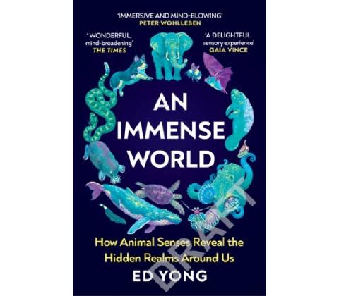 Immense World