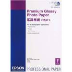 Epson Epson Premium Glossy Photo Paper 255 g, A2 25 Чаршафи (C13S042091)